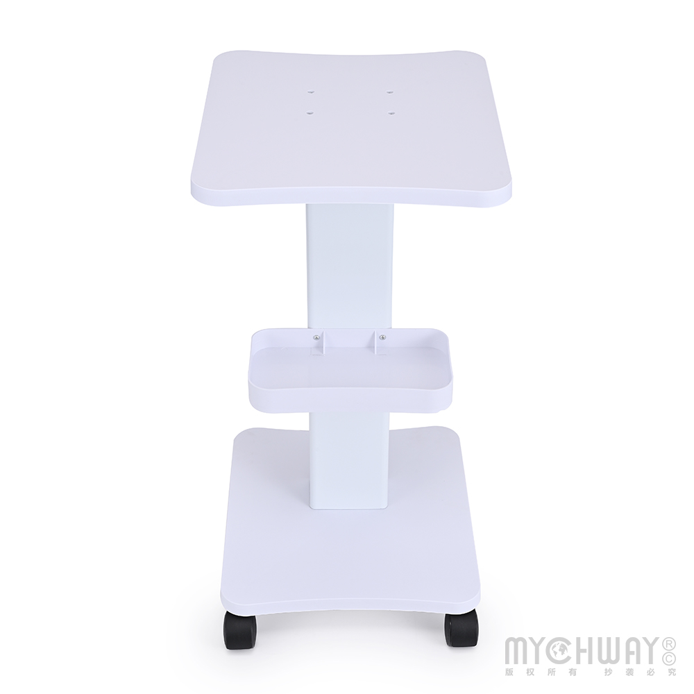 Rolling Trolley Cart Beauty Salon SPA Storage Equipment Machine Organizer Stand